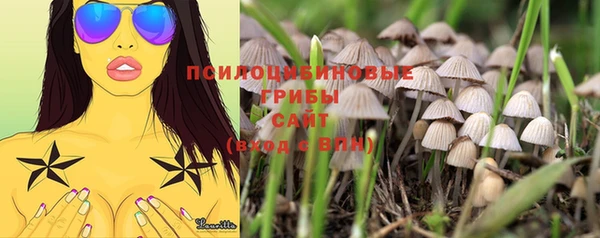 трава Мегион