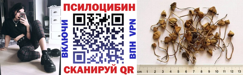 OMG ссылки  Ленинск  Псилоцибиновые грибы Psilocybe 